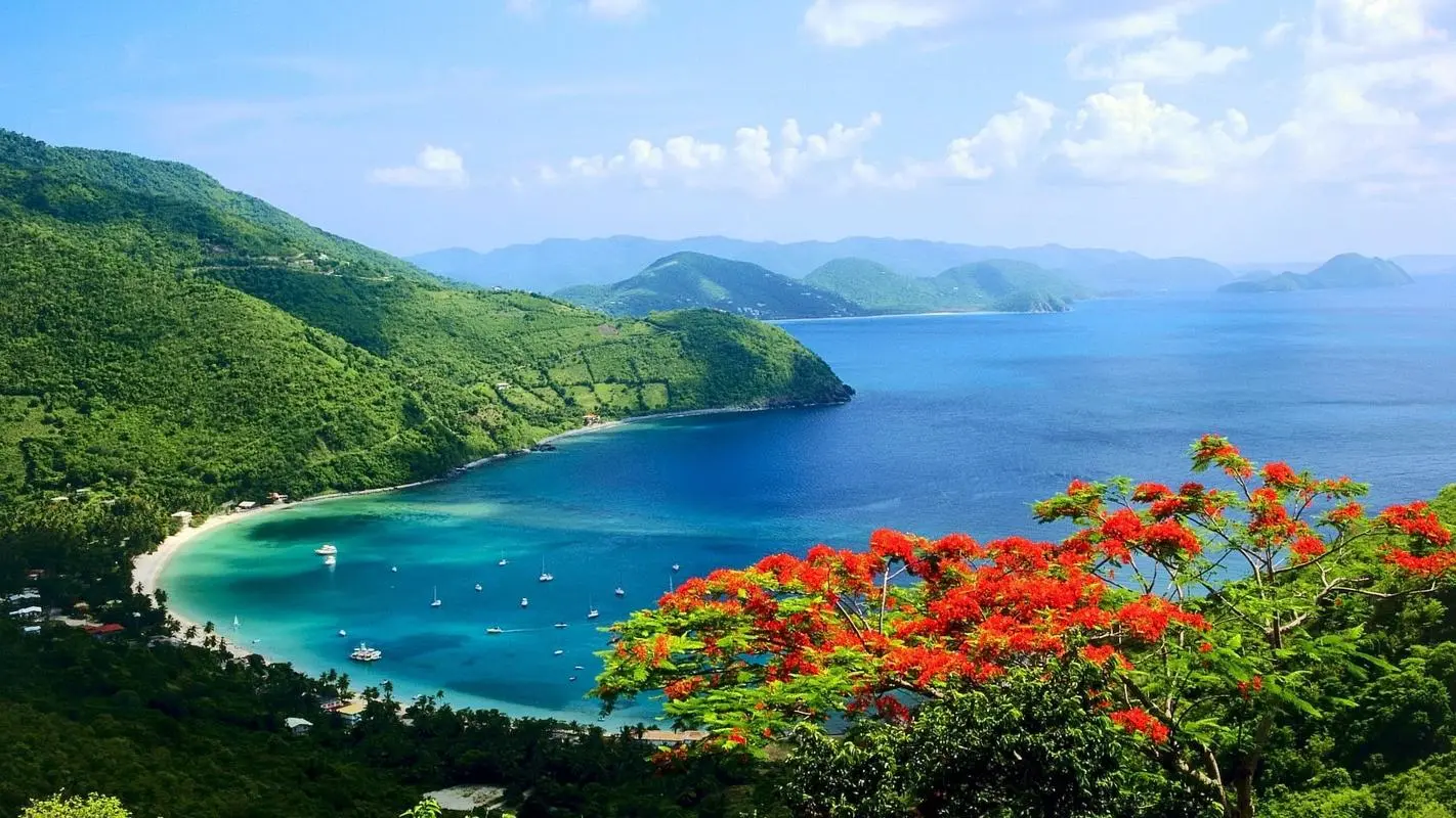 高效高精度高标准